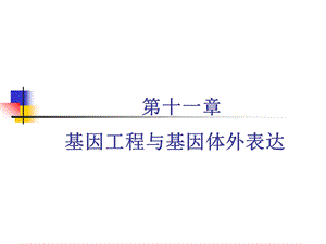 第11章基因工程与体外表达.ppt
