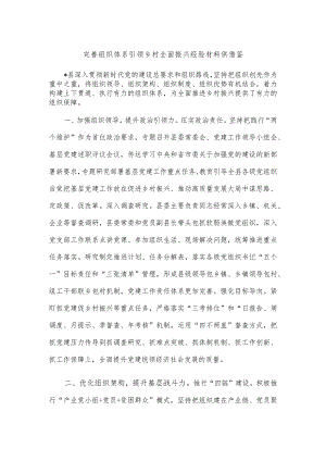 完善组织体系引领乡村全面振兴经验材料供借鉴.docx