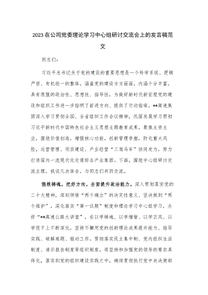2023在公司党委理论学习中心组研讨交流会上的发言稿范文.docx