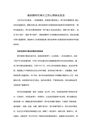 做好新时代审计工作心得体会发言.docx