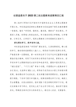 纪委监委关于2023第二批主题教育进展情况汇报.docx