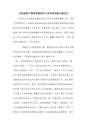 纪检监察干部教育整顿学习读书报告集合篇范文.docx