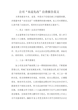 公司“未巡先改”自查报告范文.docx