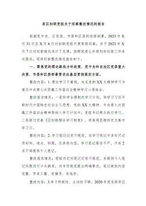 某区妇联党组关于巡察整改情况的报告.docx