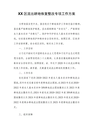 XX区流出耕地恢复整改专项工作方案.docx