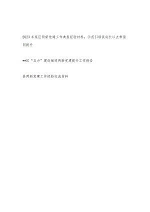 2023年某县区两新党建工作典型经验交流材料和推进两新党建提升工作报告.docx