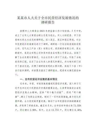 某某市人大关于全市民营经济发展情况的调研报告.docx