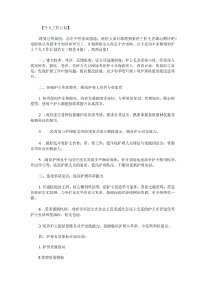 护士个人工作计划范文.docx