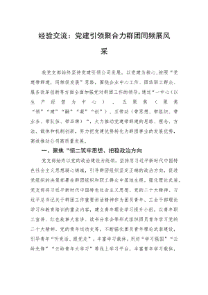 经验交流：党建引领聚合力+群团同频展风采.docx