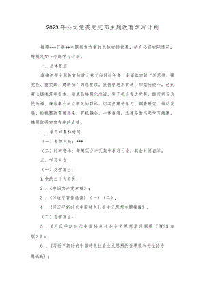 （3篇）2023年公司党委党支部主题教育学习计划.docx