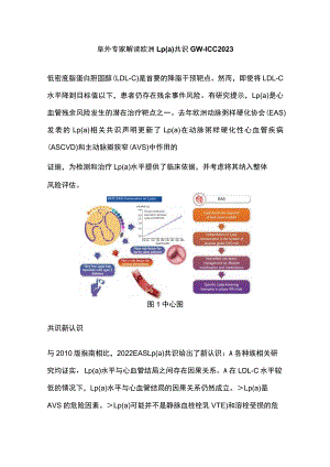 阜外专家解读欧洲Lp(a)共识GW-ICC 2023.docx