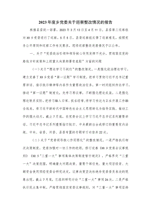 2023年度乡党委关于巡察整改情况的报告.docx