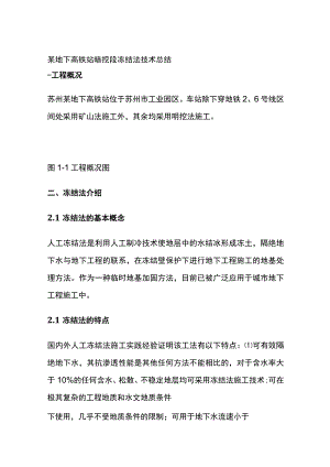 某地下高铁站暗挖段冻结法技术总结.docx
