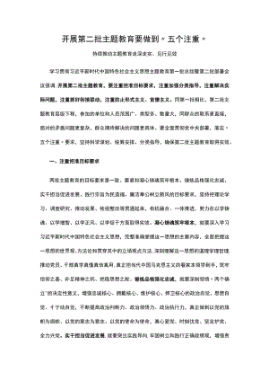 2023开展第二批主题教育要做到五个注重PPT讲稿.docx