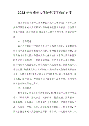 2023年未成年人保护专项工作的方案.docx