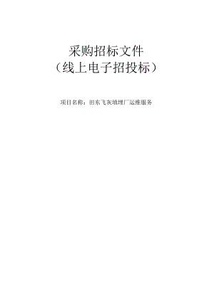 田东飞灰填埋厂运维服务招标文件.docx