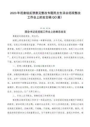2023年巡查组反馈意见整改专题民主生活会巡视整改工作会上的发言稿（10篇）.docx