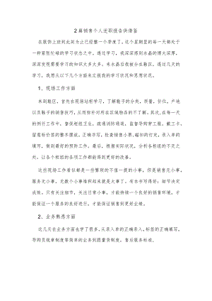 2篇销售个人述职报告供借鉴.docx