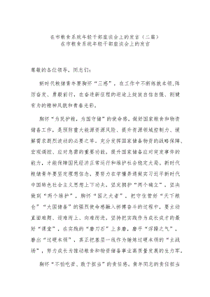 在市粮食系统年轻干部座谈会上的发言(二篇).docx