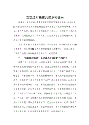 支部结对联建 共促乡村振兴.docx