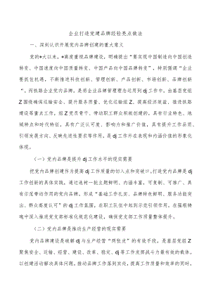 企业打造党建品牌经验亮点做法.docx