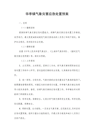 华亭镇党的建设工作要点.docx