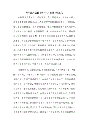 青年党员观看《榜样7》感悟2篇范文.docx