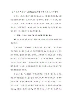 公司铸就“龙头”品牌 助力高质量发展交流材料供借鉴.docx