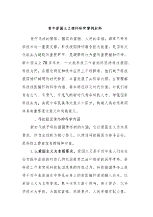 青年爱国主义情怀研究案例材料 .docx