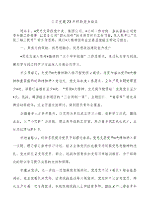 公司党建23年经验亮点做法.docx