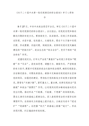 《关于二十届中央第一轮巡视情况的综合报告》学习心得体会2篇.docx