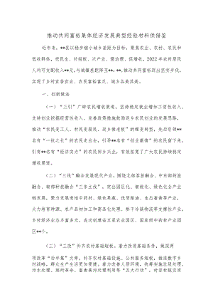 推动共同富裕集体经济发展典型经验材料供借鉴.docx