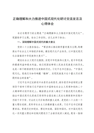 正确理解和大力推进中国式现代化研讨交流发言及心得体会.docx