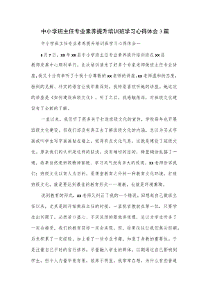 中小学班主任专业素养提升培训班学习心得体会3篇.docx