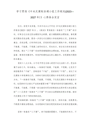 学习《中央反腐败协调小组工作规划（2023—2027年）》心得体会发言.docx