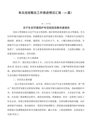 有关巡视整改工作推进情况汇报（10篇）.docx