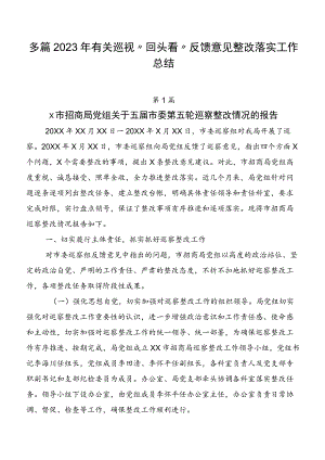 多篇2023年有关巡视“回头看”反馈意见整改落实工作总结.docx