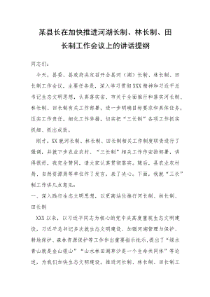 某县长在加快推进河湖长制、林长制、田长制工作会议上的讲话提纲.docx