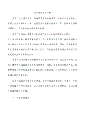 美容行业意义分析.docx