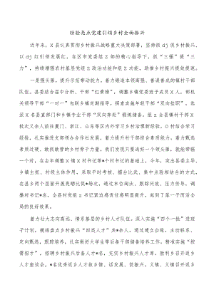 经验亮点党建引领乡村全面振兴.docx