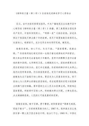 2023《榜样的力量（第二季）》孙家栋先进事迹学习心得体会3篇.docx