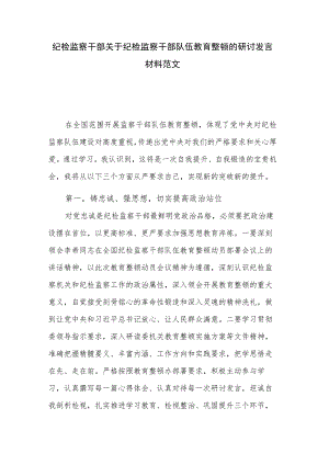 纪检监察干部关于纪检监察干部队伍教育整顿的研讨发言材料范文.docx