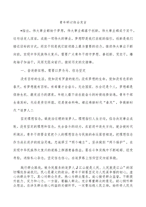 青年研讨体会发言.docx