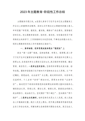 2023年主题教育-阶段性工作总结.docx