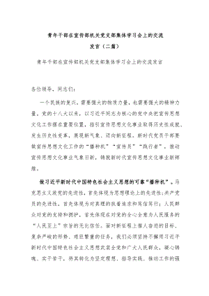 青年干部在宣传部机关党支部集体学习会上的交流发言(二篇).docx