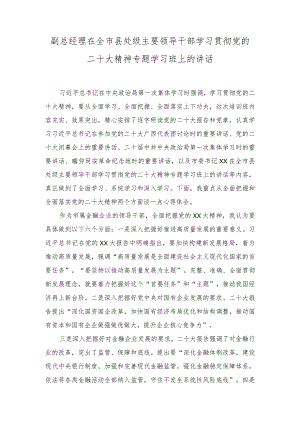 （2篇）处级主要领导干部学习贯彻党的二十大精神专题学习班上的讲话.docx