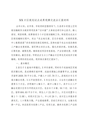 XX片区规划试点成果观摩交流会汇报材料.docx
