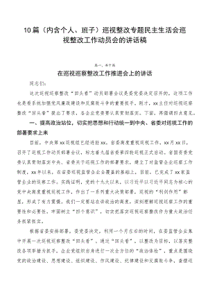 10篇巡视整改专题民主生活会巡视整改工作动员会的讲话稿.docx