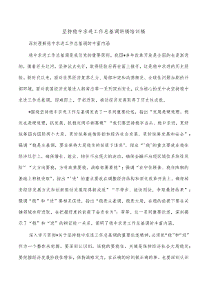 坚持稳中求进工作总基调讲稿培训稿.docx