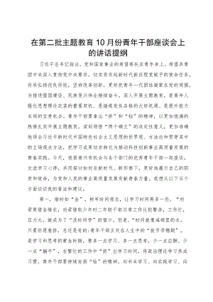 在第二批主题教育10月份青年干部座谈会上的讲话提纲.docx